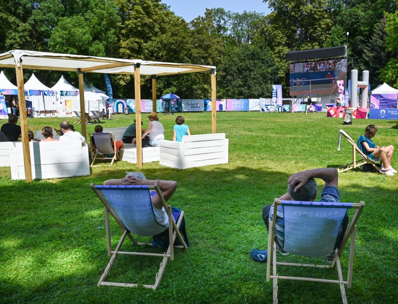 écran géant sur la pelouse du Parc de la Légion d'honneur